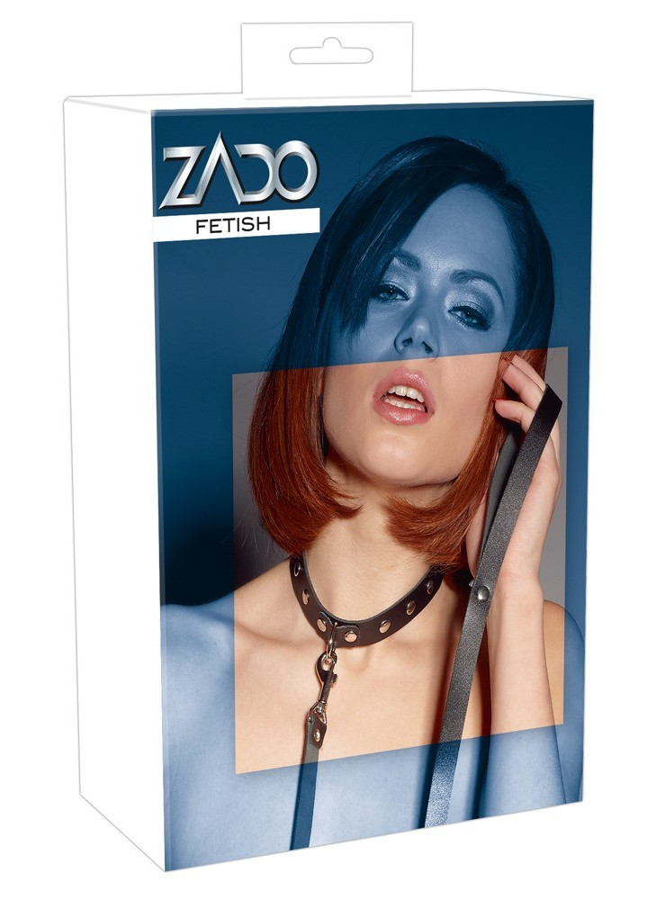 Collar with Leash